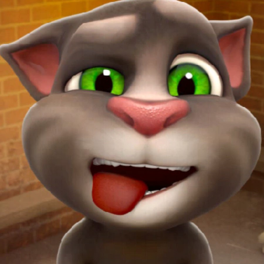 Talking tom. голова говорящего тома. Talking tom. Talking tom 1997. джинджер outfit7.