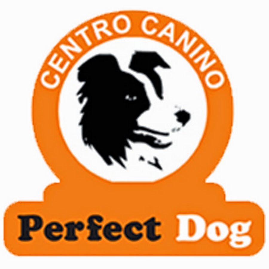 Perfect Dog Adestramento 