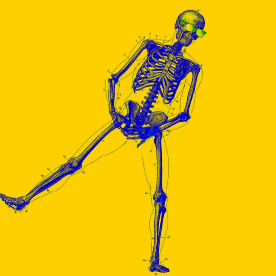 Bone art. Танцующий скелет. Скелет танцует. Скелет двигается. Скелет анимация.