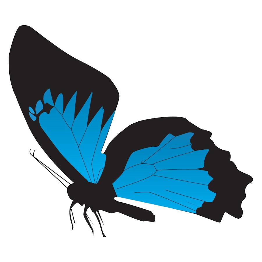 3.7 Designs - YouTube