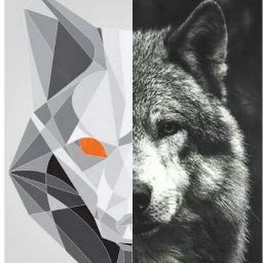 Zona-Gamer - YouTube