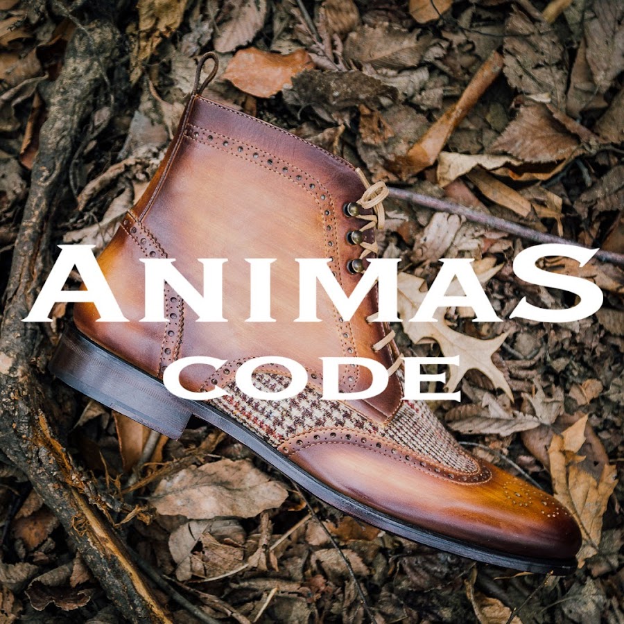 Animate code