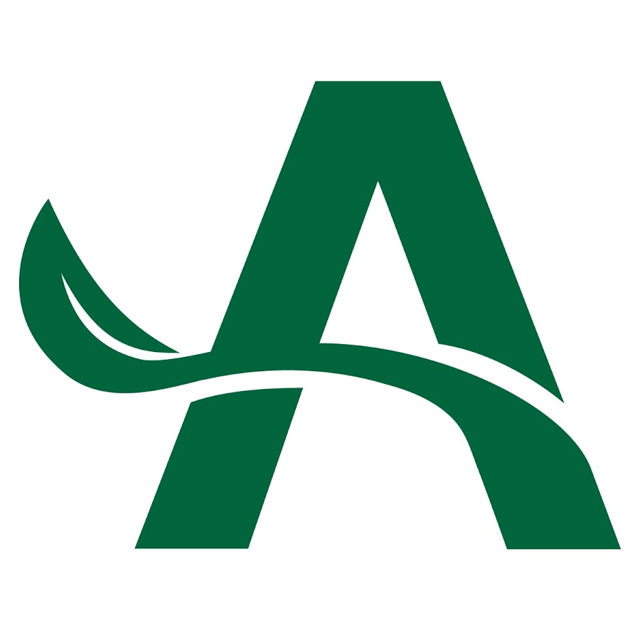Arbor Financial Credit Union YouTube