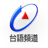 What could 台視台語台 TTV Taigi Channel buy with $188.38 thousand?