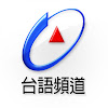 What could 台視台語台 TTV Taigi Channel buy with $188.4 thousand?