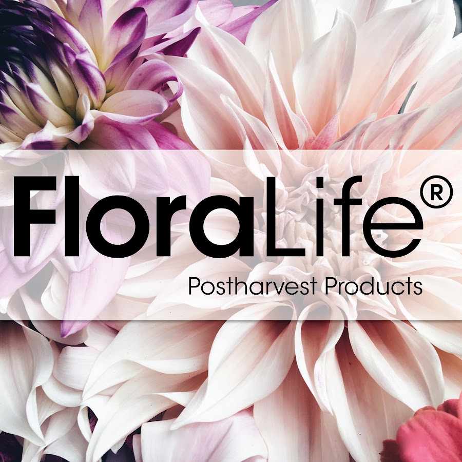 Floralife YouTube