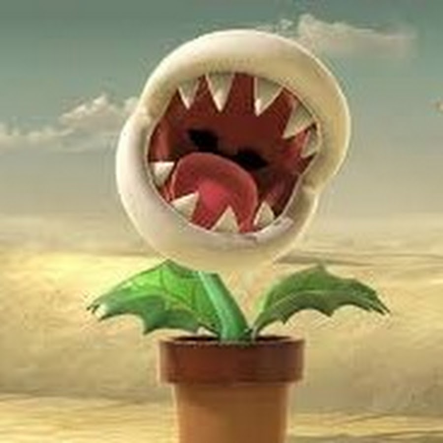Piranha Plant YouTube