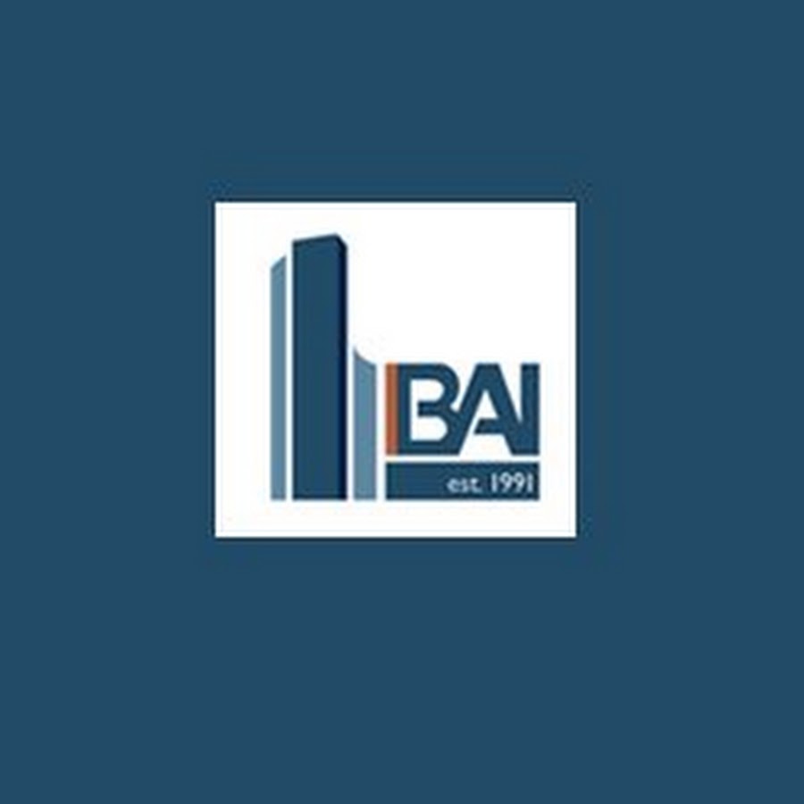 Business Alliance Inc YouTube