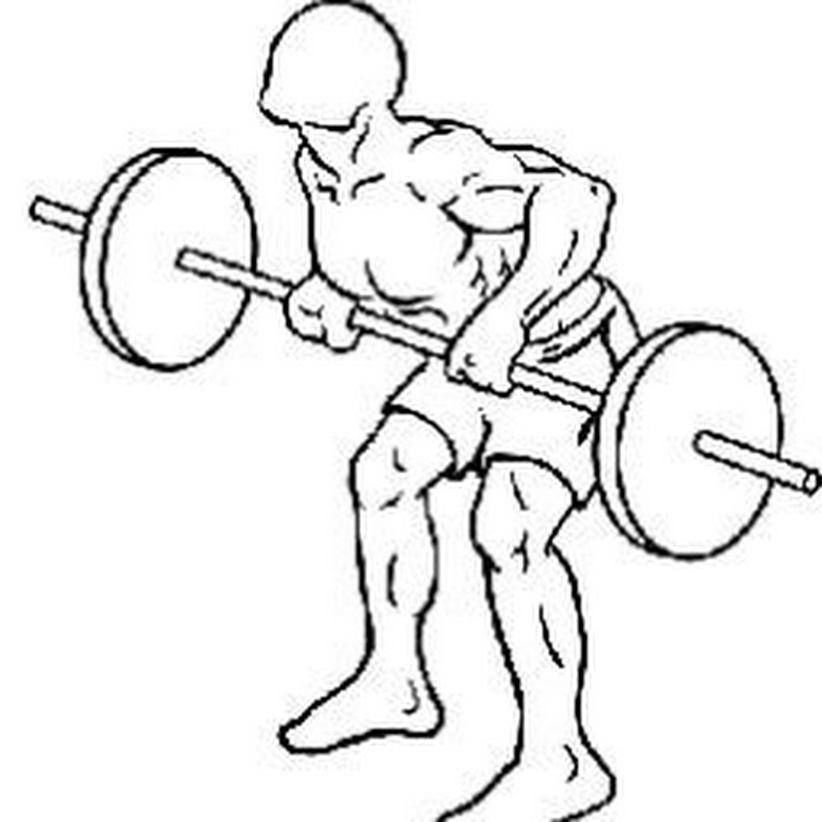 Bent over Barbell Rows