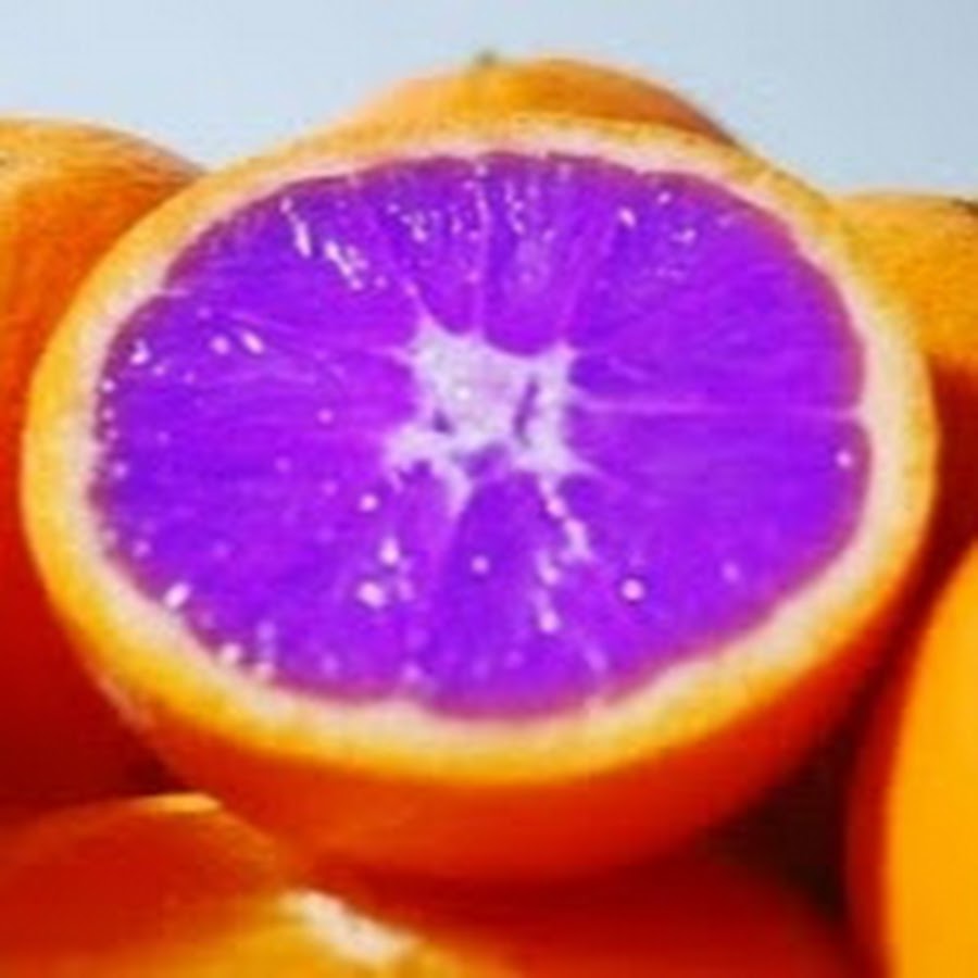 Purple Orange - YouTube