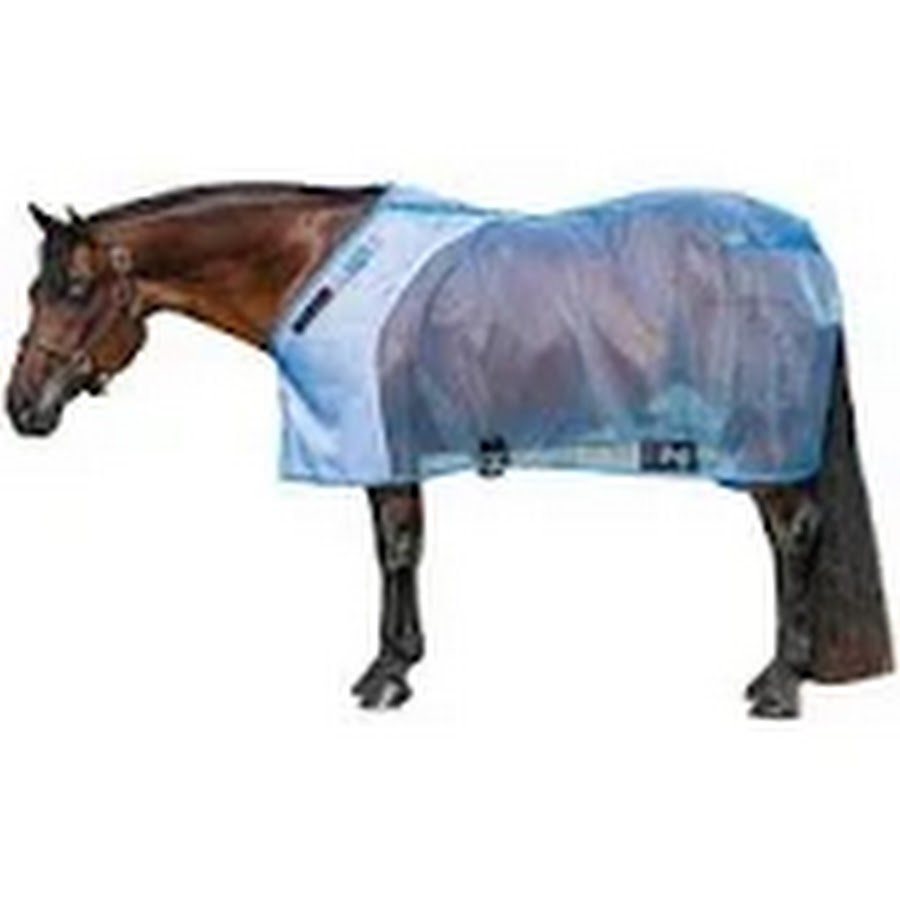 Horses in the Bag YouTube