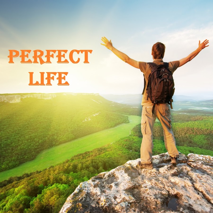 Perfect Life YouTube