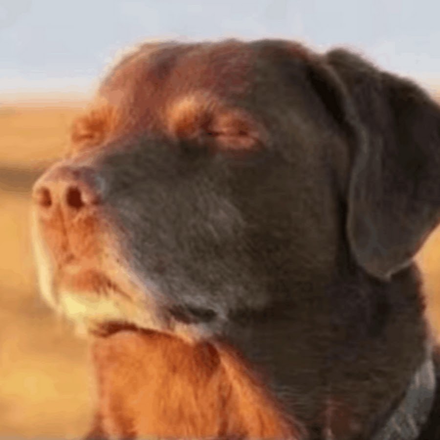 Аниме карта уно