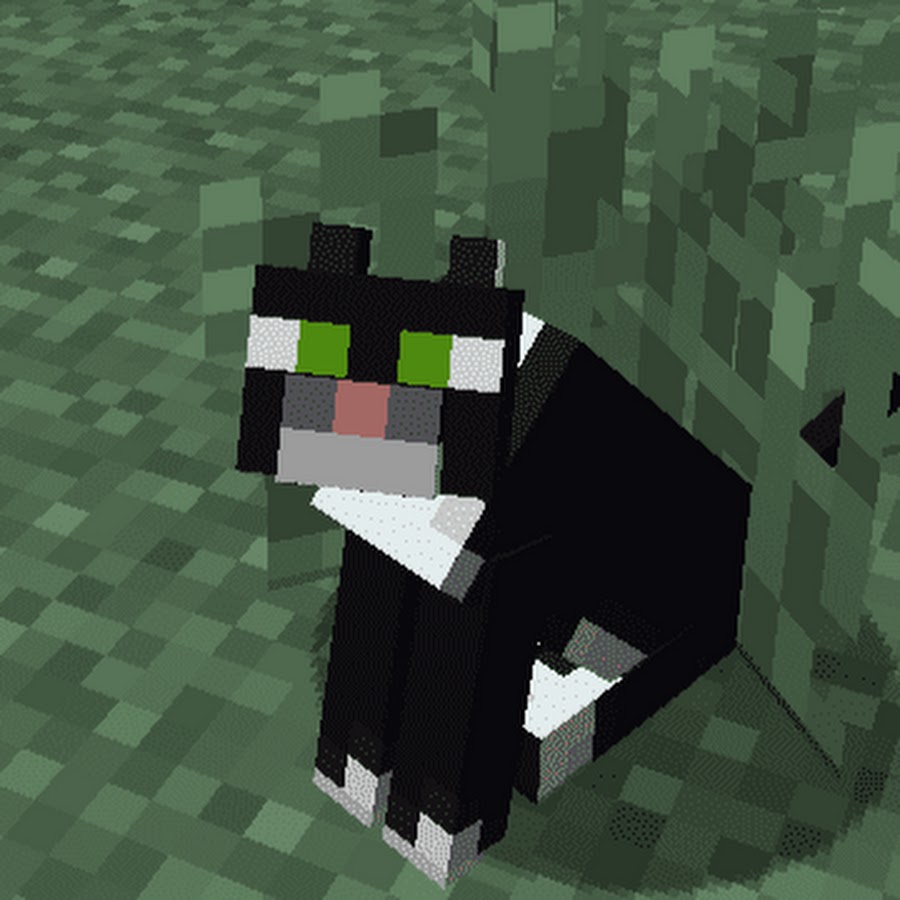 ender cat minecraft earth