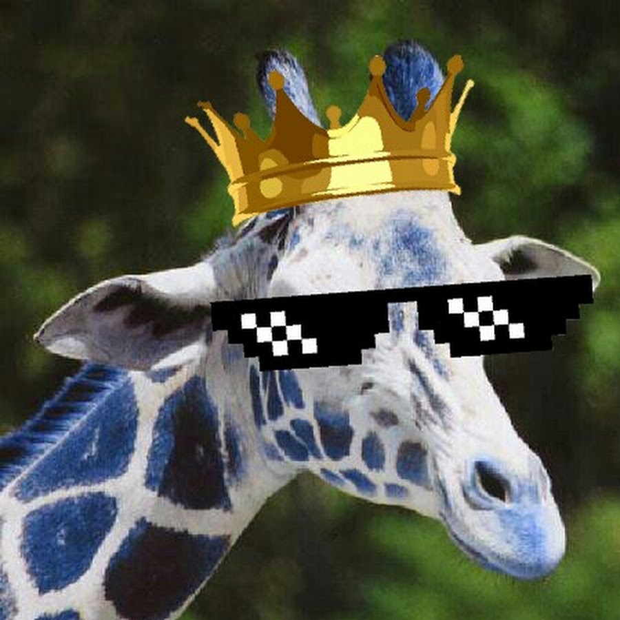 BLUE Giraffe 28 - YouTube