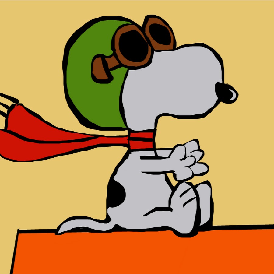 Snoopy Cartoon VN YouTube