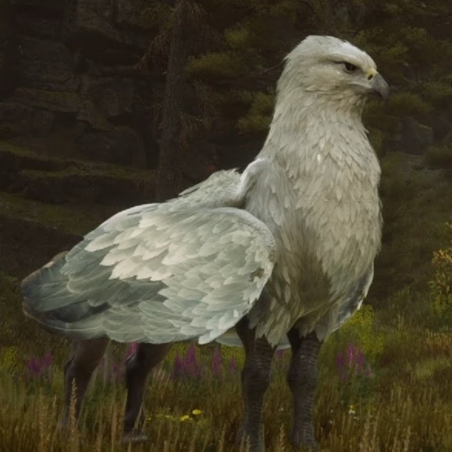 Hogwarts legacy скриншоты. Hogwarts legacy себастьян. Hogwarts legacy косплей. Гиппогриф вам укажет путь прохождение. Гиппогриф вам укажет путь прохождение.