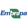 What could Embrapa buy with $160.8 thousand?