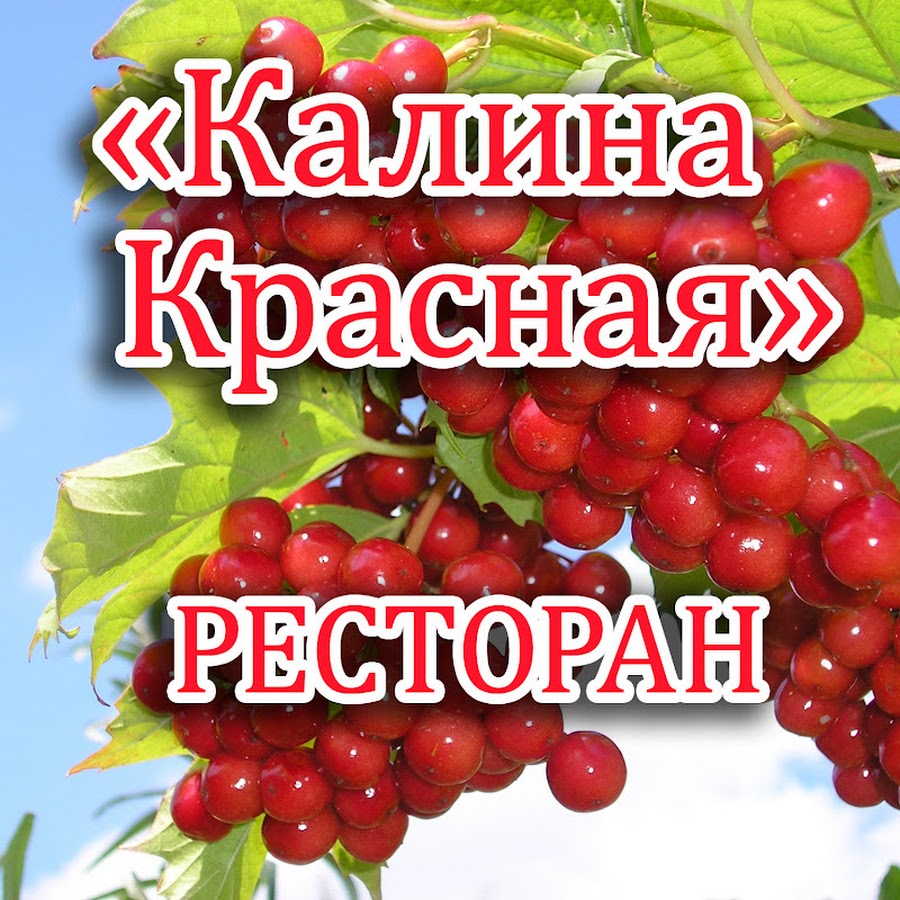 Калина красная френкель текст