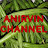 ANIRVIN CHANNEL