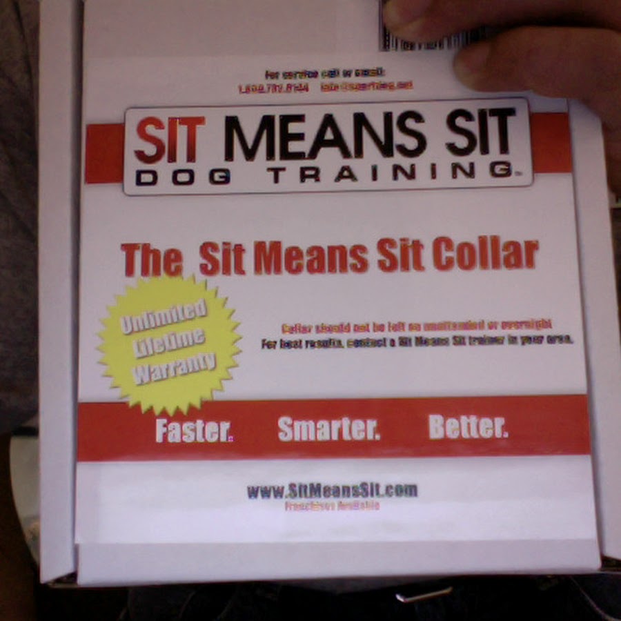 Sit Means Sit Collar YouTube