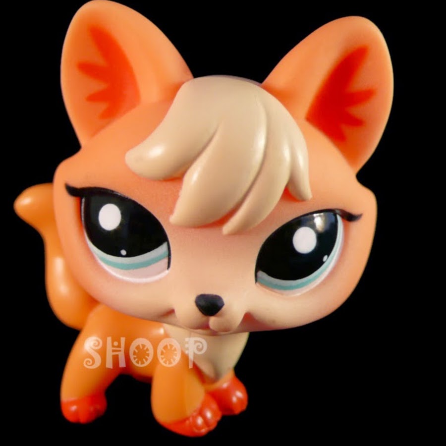 Petshop: Renard transformé en Spitz