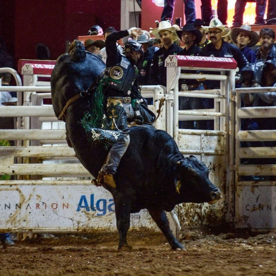 Montarias em Touros - YouTube