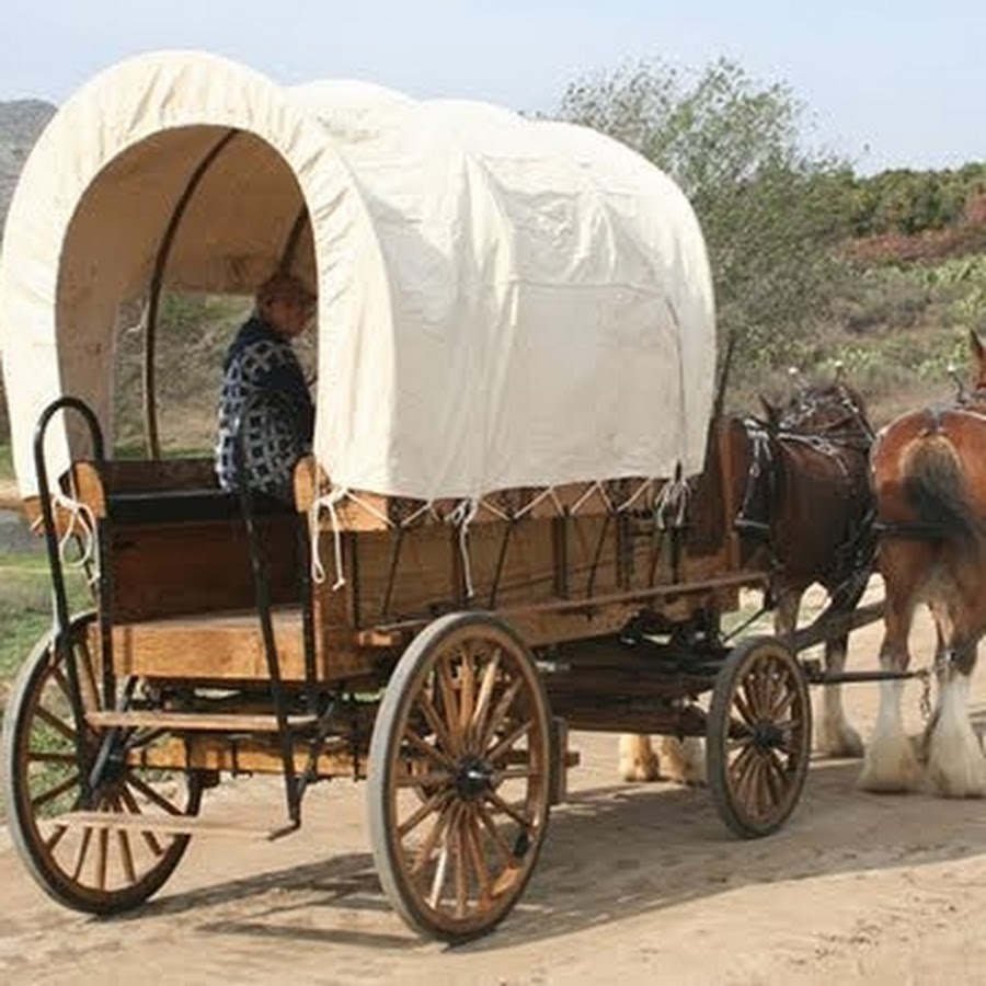 По домам телега. Кибитка Амишей. Повозка Амишей. Повозка с лошадью. Старая телега.