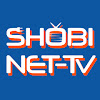 What could SHOBI NETTV buy with $100 thousand?