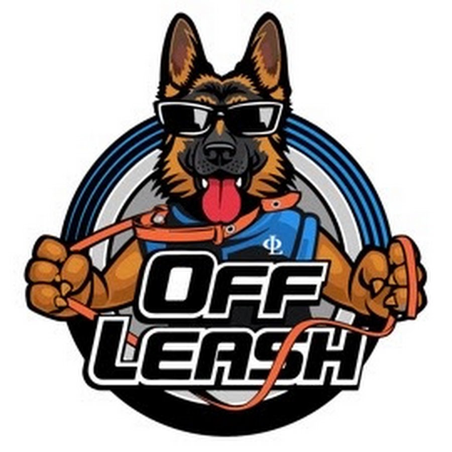 Off Leash K9 Training Hawaii YouTube