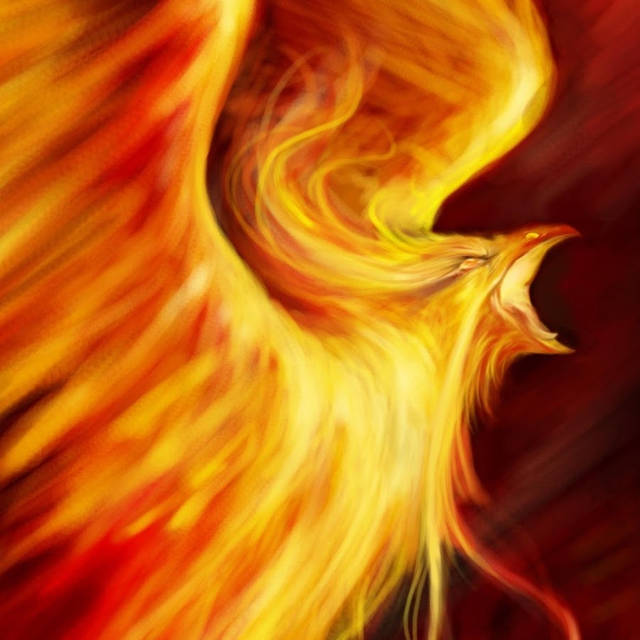 The Phoenix Enigma YouTube