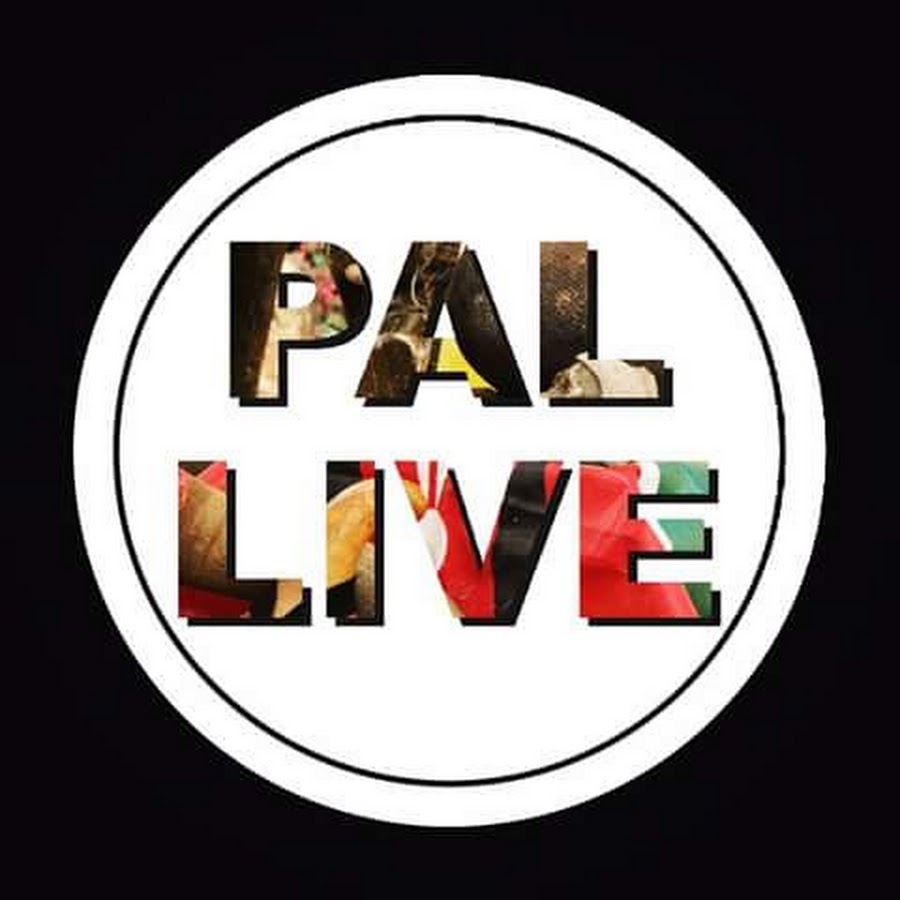 PAL LIVE TV YouTube