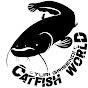 Catfish World by Yuri Grisendi