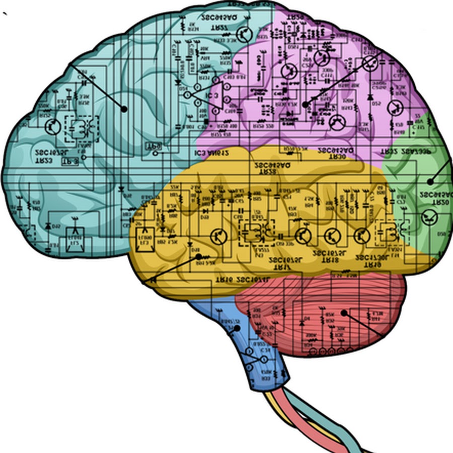 Loose Connection YouTube