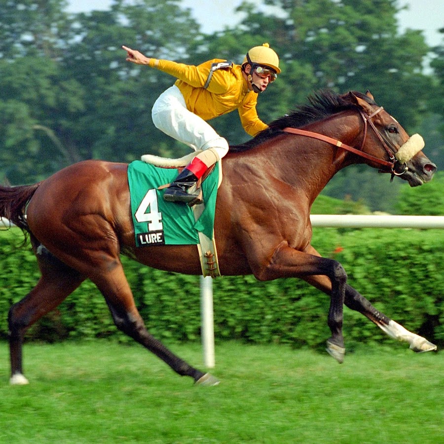 Horse Racing YouTube