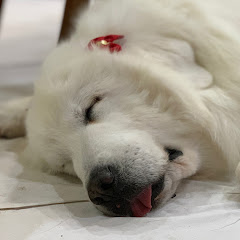 ルンルンの裏庭 RunRun's backyard