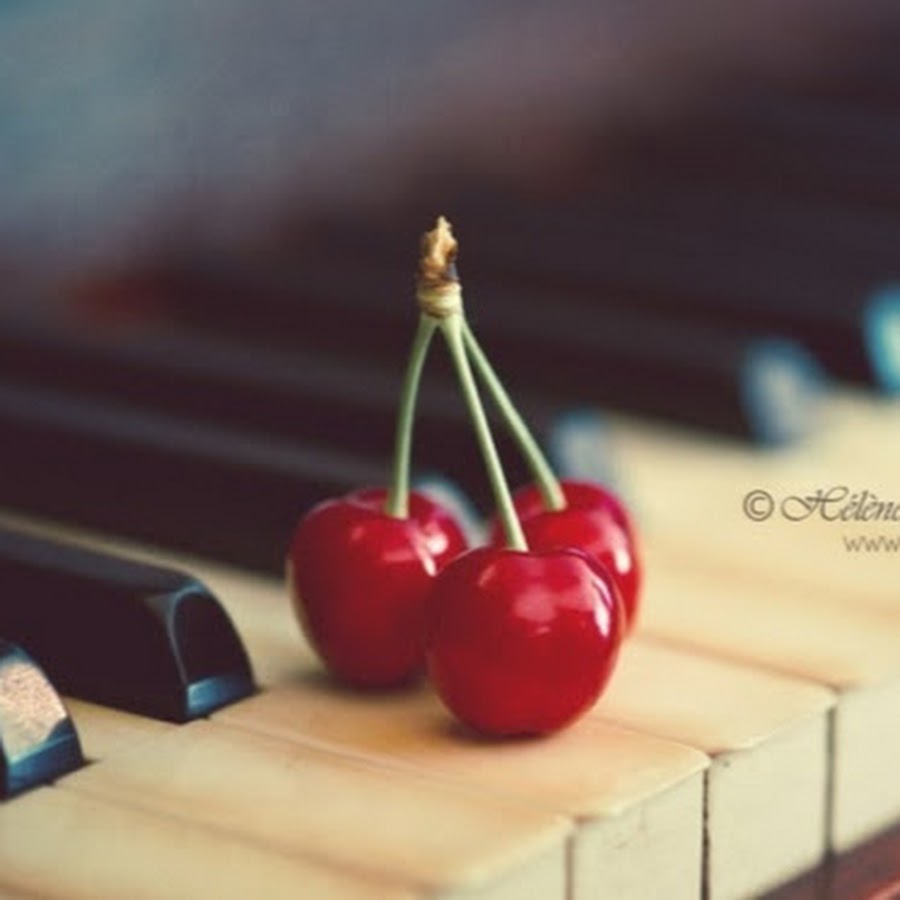 музыка вишня. музыка вишня. музыкальная черешня. вишня клипарт на прозрачном фоне. музыка вишня.