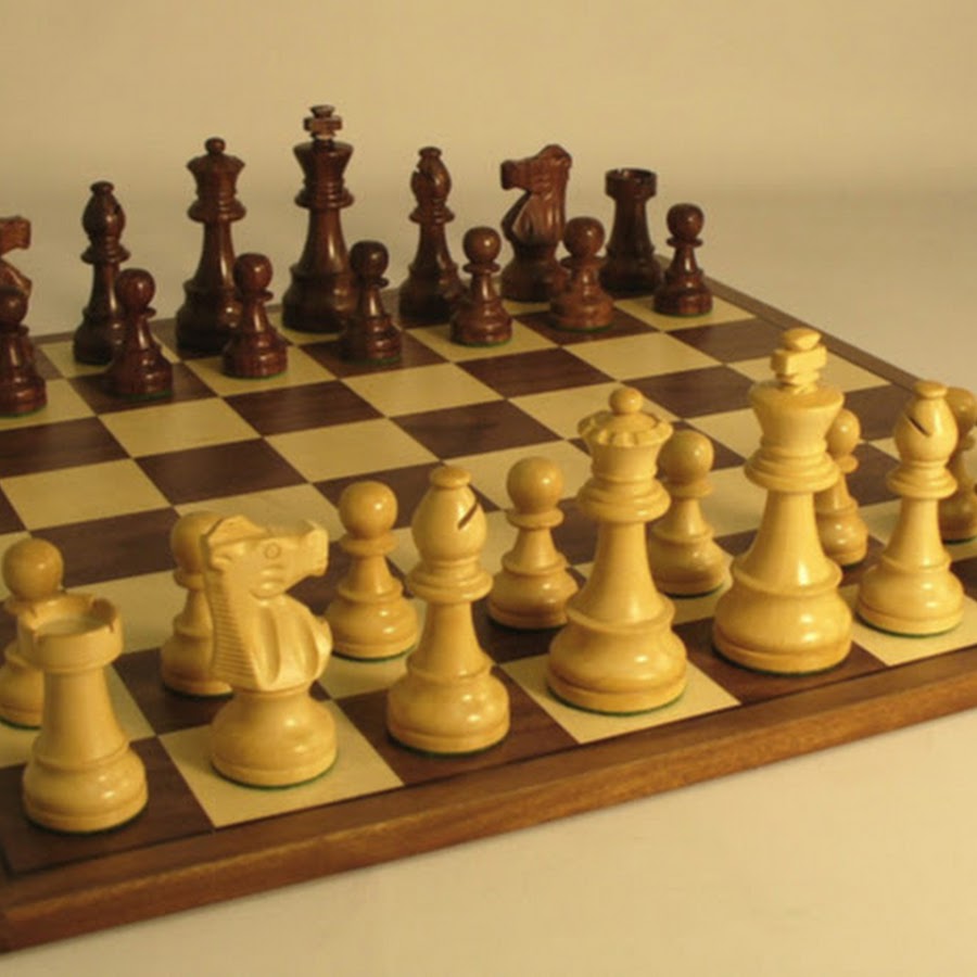 Шахматы Kasparov Championship Chess