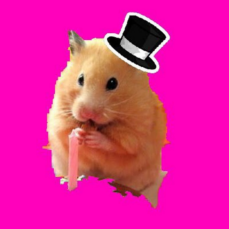 Classic Hamsters GAMING 