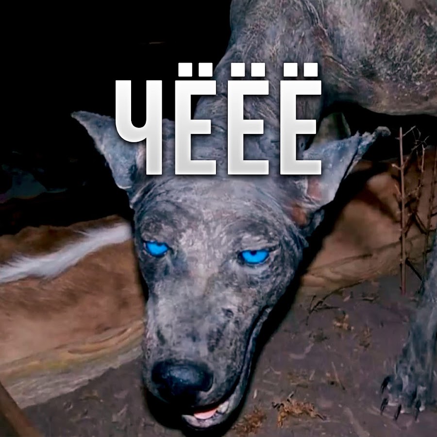 Чупакабра - YouTube