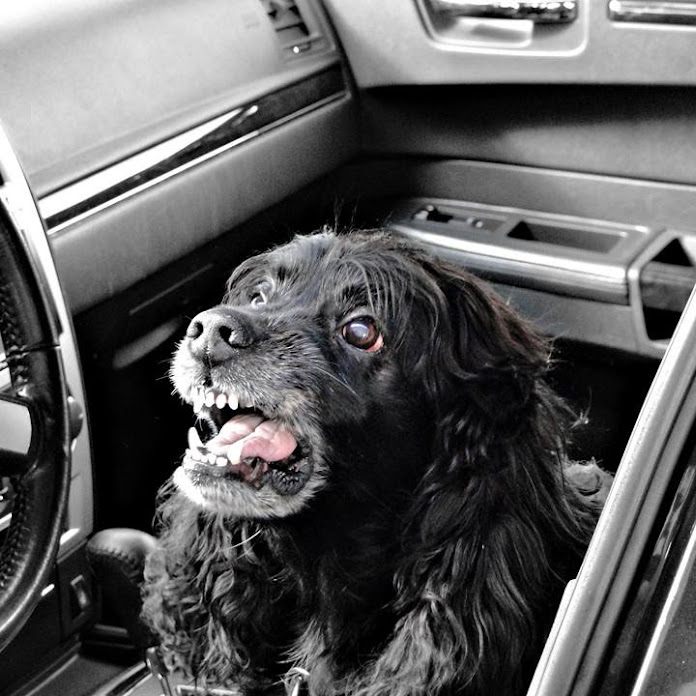 KLE621FULL Net Worth & Earnings (2026)