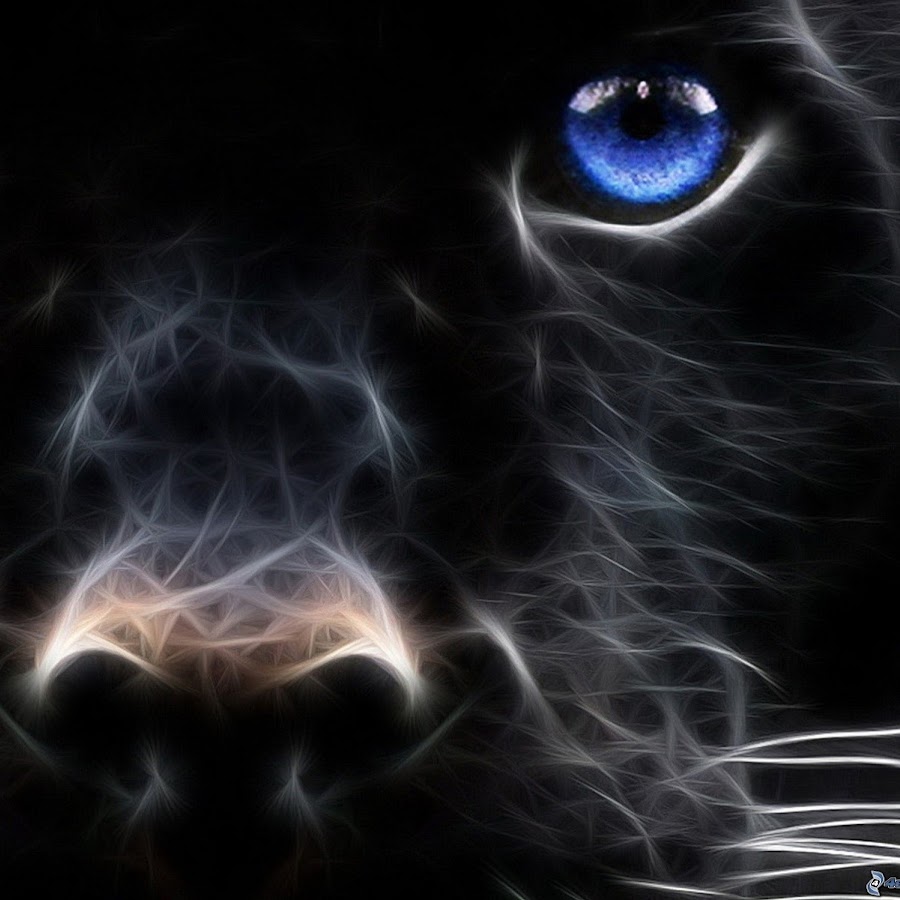 EL JAGUAR NEGRO - YouTube