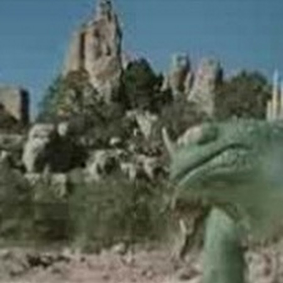 LIVE STREAM SPRT YouTube