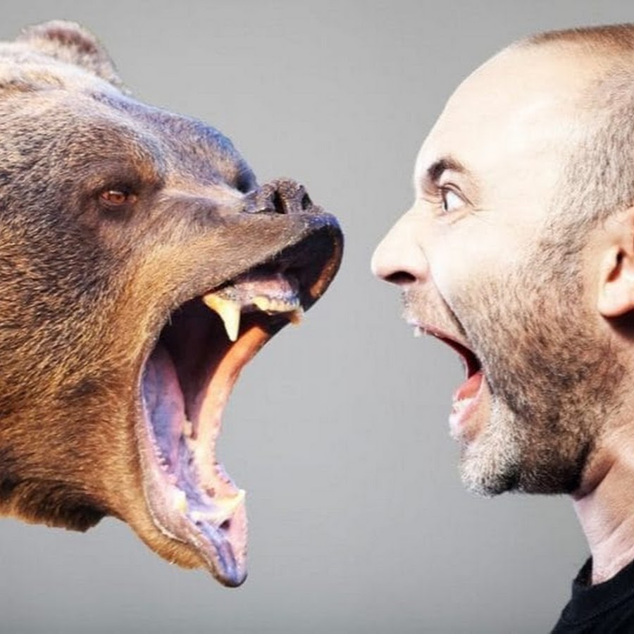 Animal TV 
