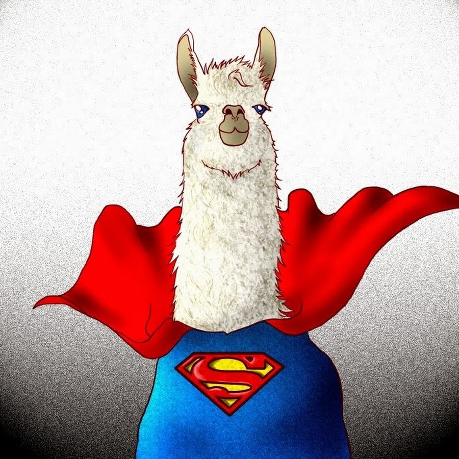 Llama cpp models