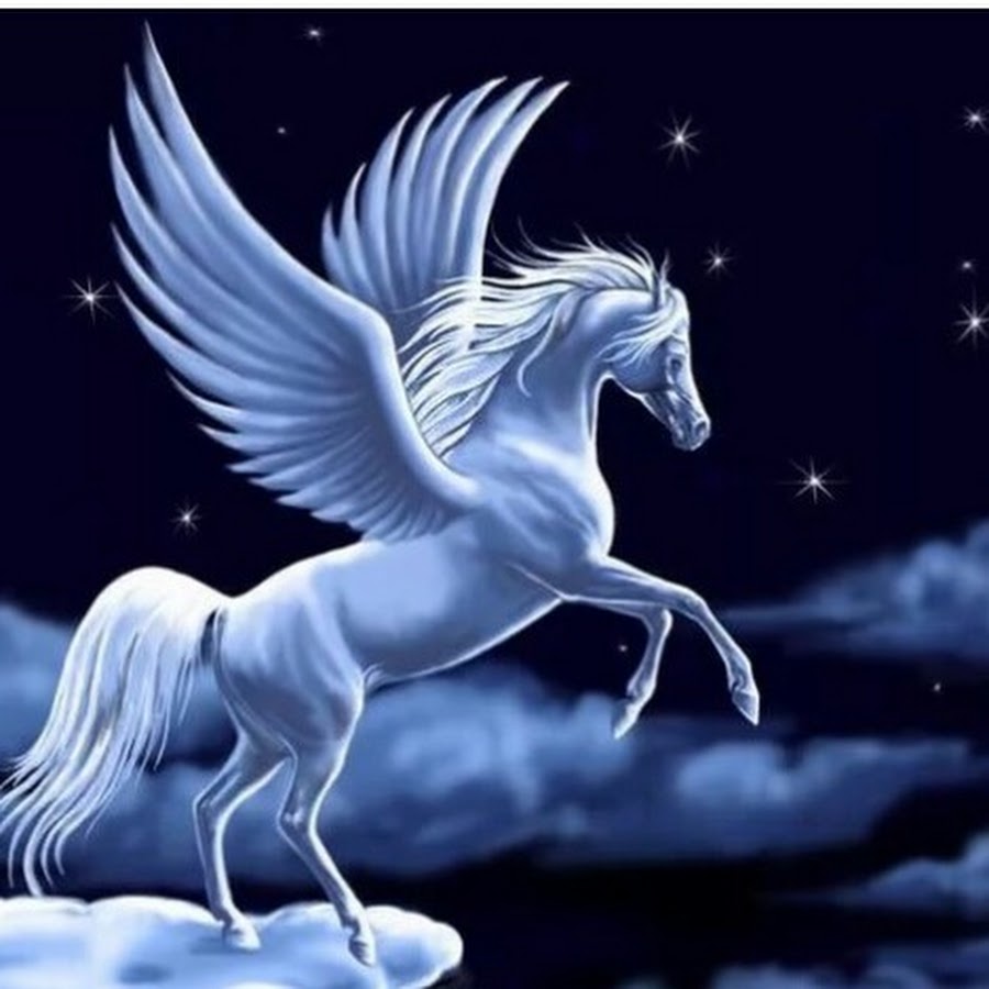 Пегас & Муза - YouTube