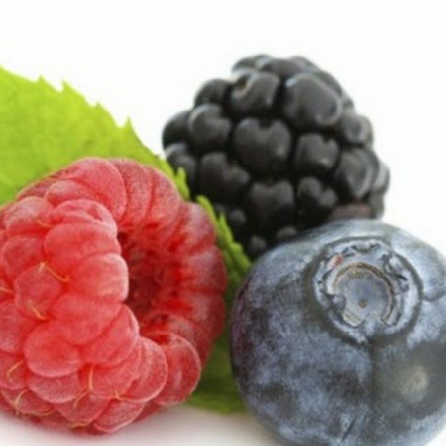 Eat Food Not Animals - YouTube