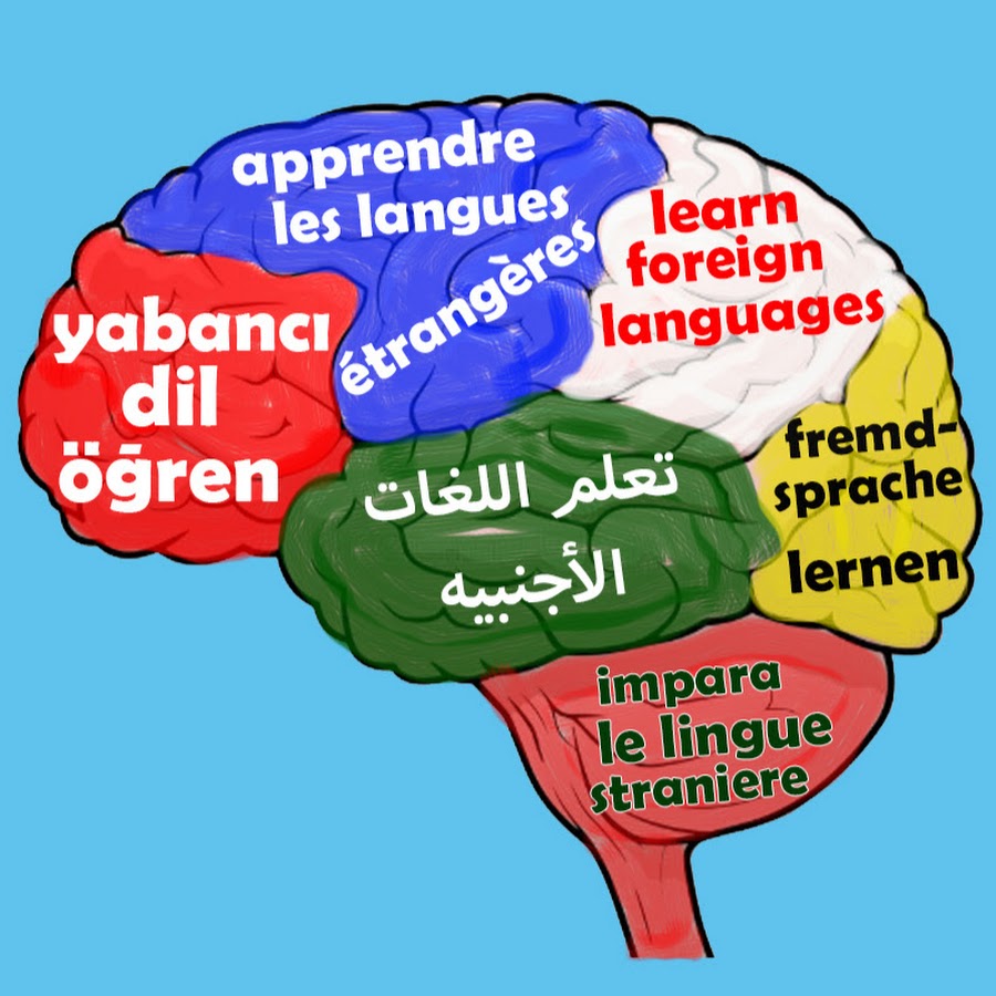 How i learn languages. Learning foreign languages. benefits of learning a foreign language. we learn foreign languages.