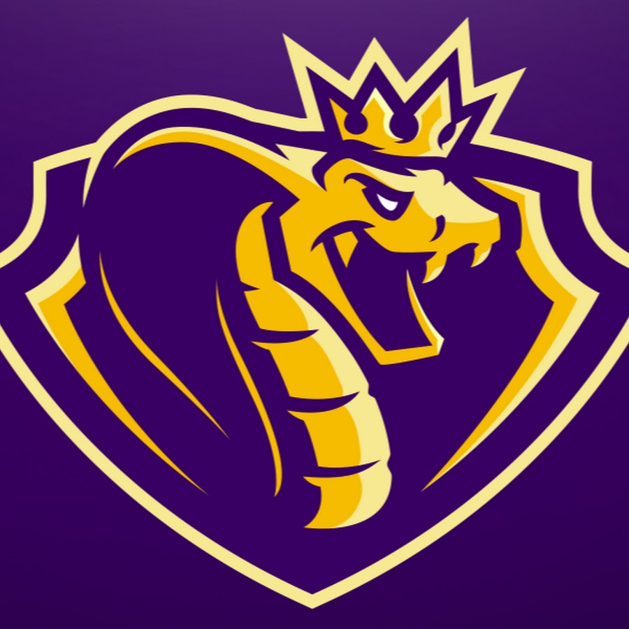 Gi joe cobra символ. клан кобра. эмблема клана. крутые логотипы. логотип змеи.