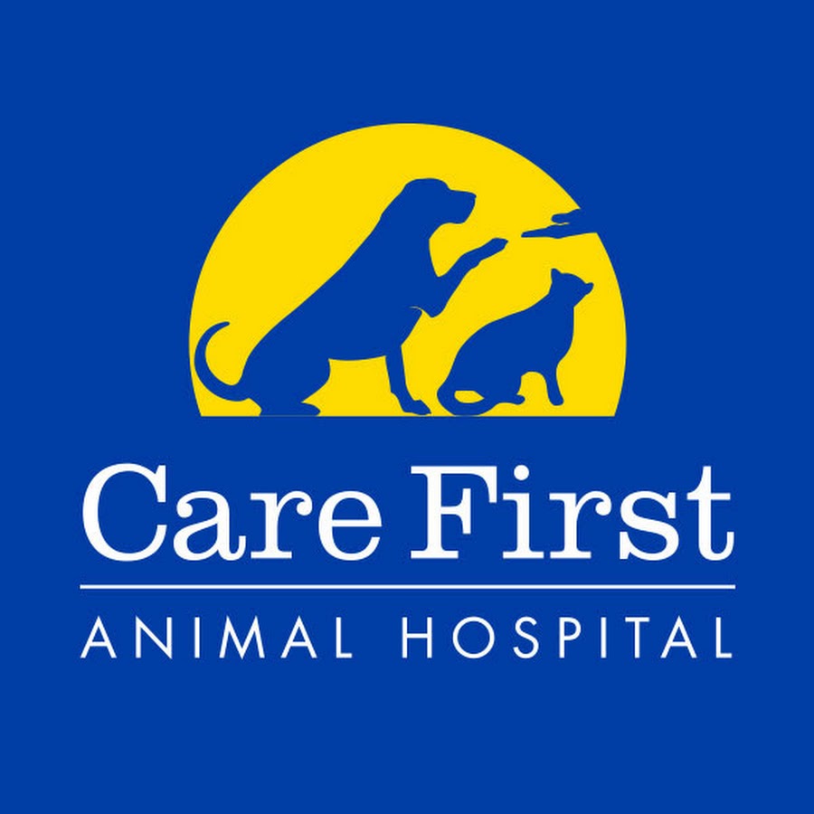 Care First Animal Hospital YouTube